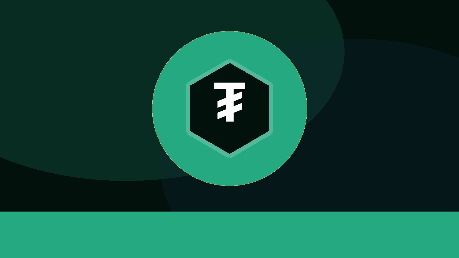USDT flasher pricing plans for P2P Binance and Trust Wallet users