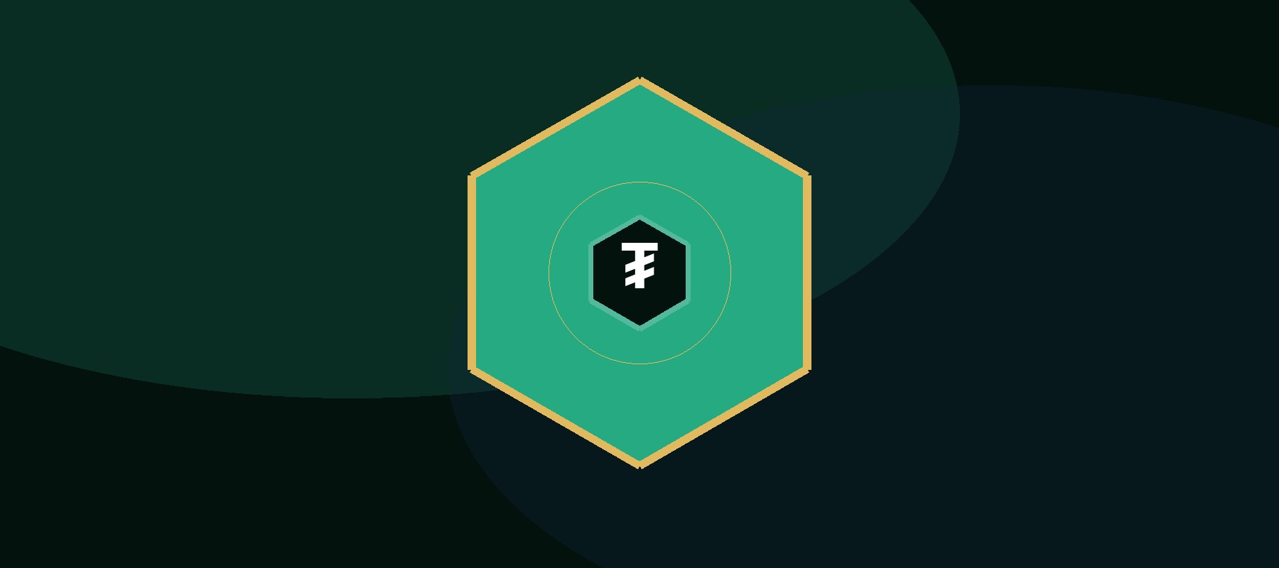 About Flash USDT Softwares team building tether flash software since 2016