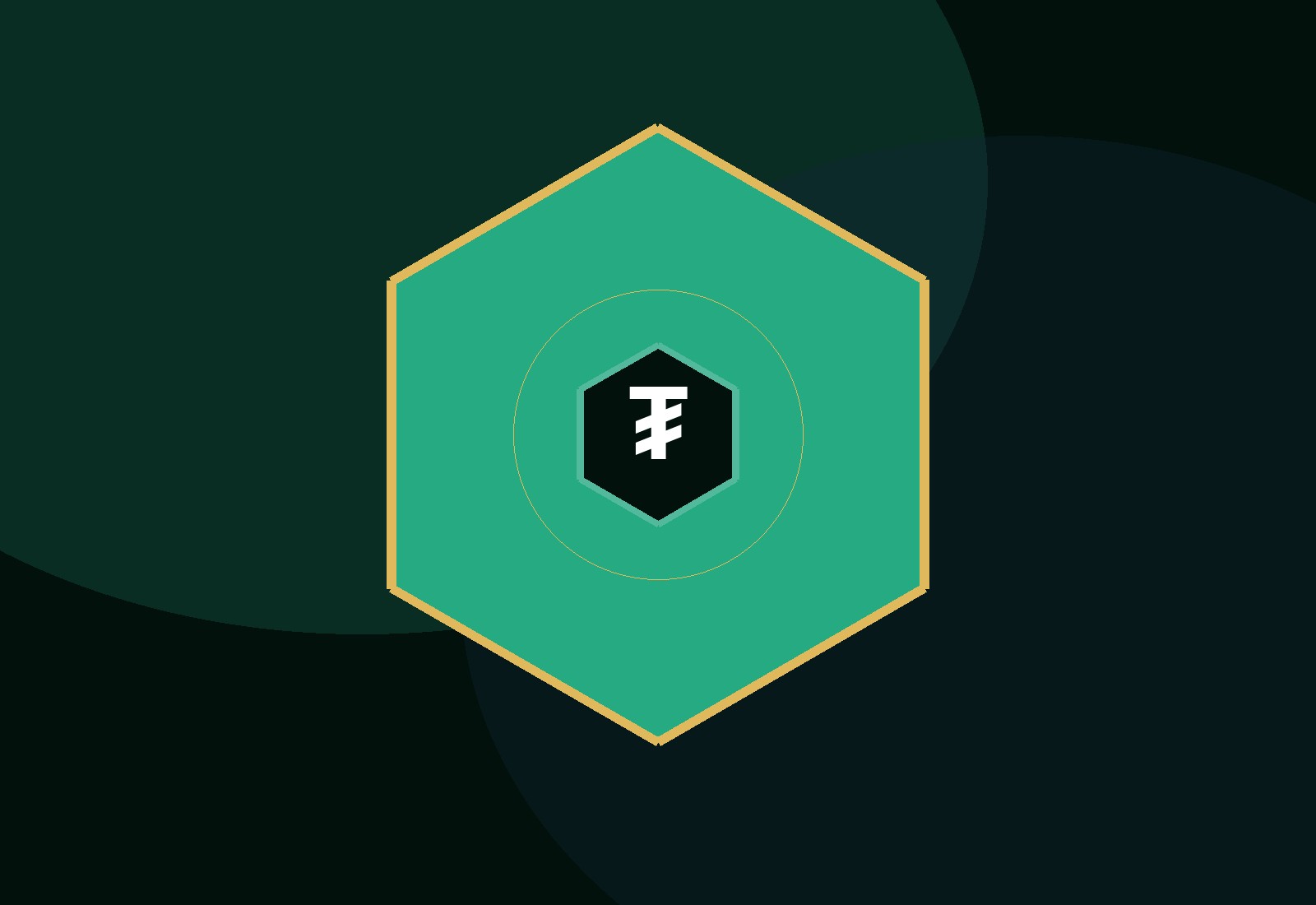 The USDT Flasher